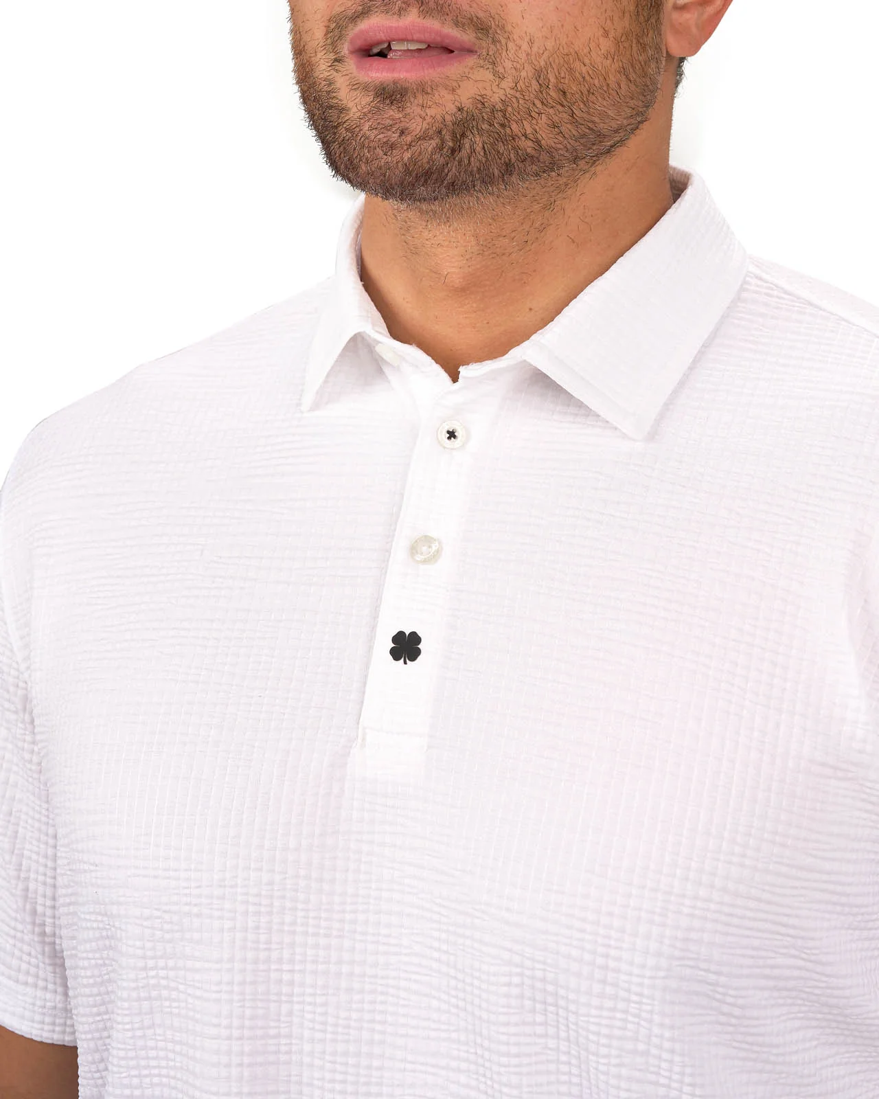 Marco 2 Marco
